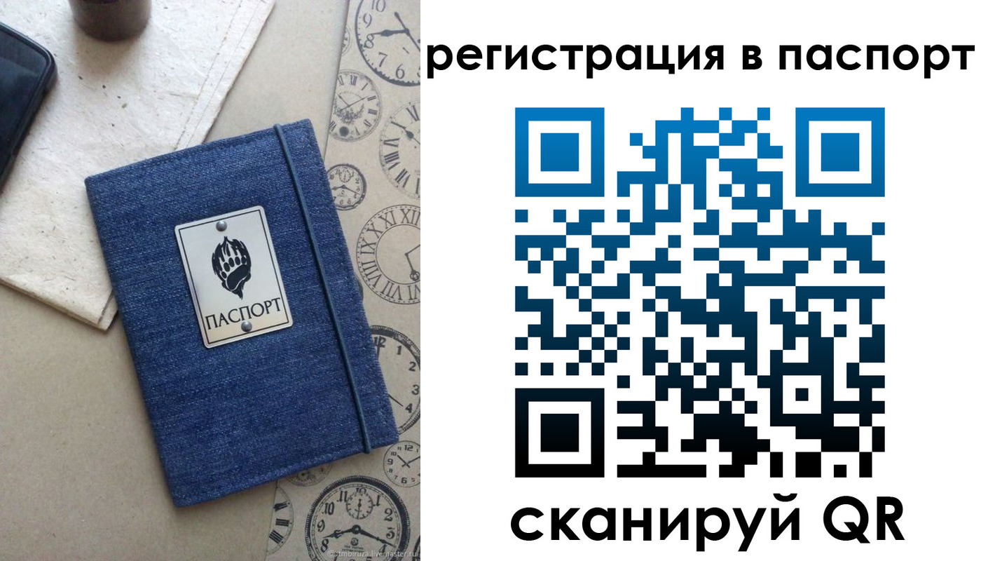 прописка в Колпашево